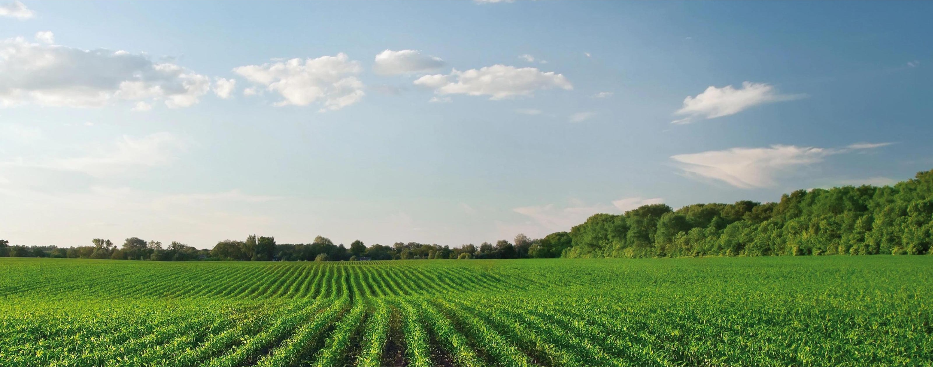 Prethroids Technical...